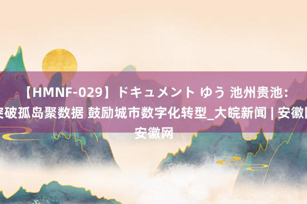 【HMNF-029】ドキュメント ゆう 池州贵池：突破孤岛聚数据 鼓励城市数字化转型_大皖新闻 | 安徽网