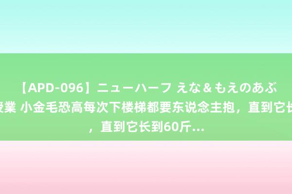 【APD-096】ニューハーフ えな＆もえのあぶない課外授業 小金毛恐高每次下楼梯都要东说念主抱，直到它长到60斤...