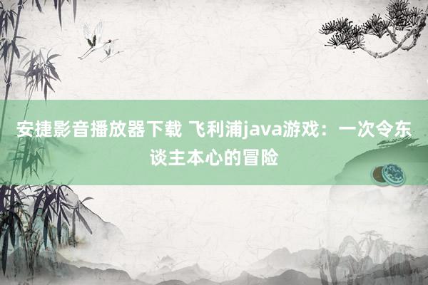 安捷影音播放器下载 飞利浦java游戏：一次令东谈主本心的冒险