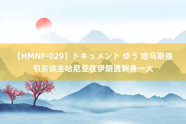 【HMNF-029】ドキュメント ゆう 哈马斯指引东谈主哈尼亚在伊朗遇刺身一火