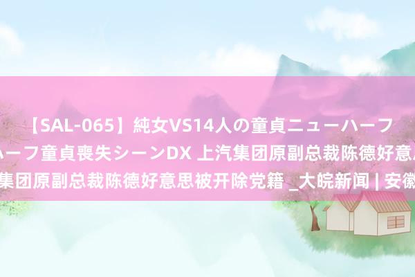 【SAL-065】純女VS14人の童貞ニューハーフ 二度と見れないニューハーフ童貞喪失シーンDX 上汽集团原副总裁陈德好意思被开除党籍 _大皖新闻 | 安徽网