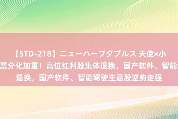 【STD-218】ニューハーフダブルス 天使×小悪魔 沙織 もえ 大小票分化加重！高位红利股集体退换，国产软件、智能驾驶主意股逆势走强