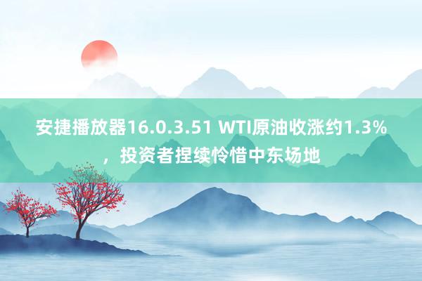 安捷播放器16.0.3.51 WTI原油收涨约1.3%，投资者捏续怜惜中东场地