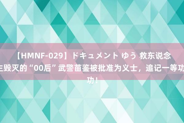 【HMNF-029】ドキュメント ゆう 救东说念主毁灭的“00后”武警苗鉴被批准为义士，追记一等功！