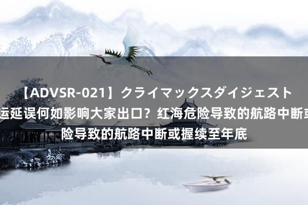 【ADVSR-021】クライマックスダイジェスト 姦鬼 ’10 航运延误何如影响大家出口？红海危险导致的航路中断或握续至年底