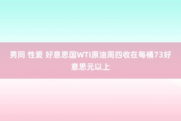 男同 性愛 好意思国WTI原油周四收在每桶73好意思元以上