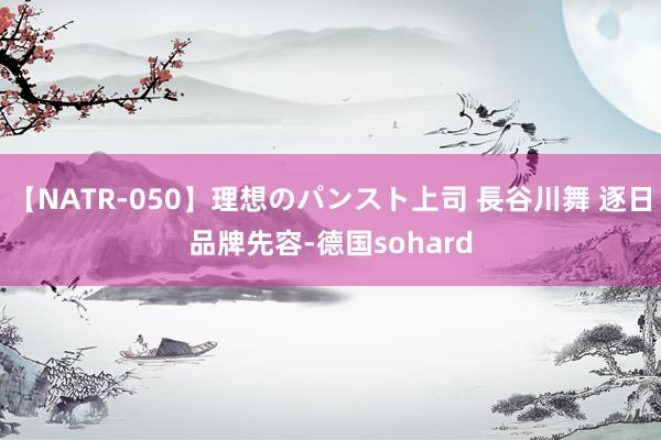 【NATR-050】理想のパンスト上司 長谷川舞 逐日品牌先容-德国sohard