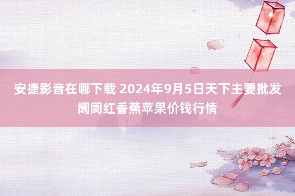 安捷影音在哪下载 2024年9月5日天下主要批发阛阓红香蕉苹果价钱行情