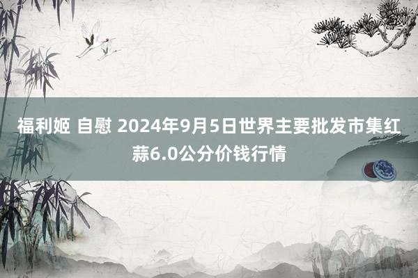 福利姬 自慰 2024年9月5日世界主要批发市集红蒜6.0公分价钱行情