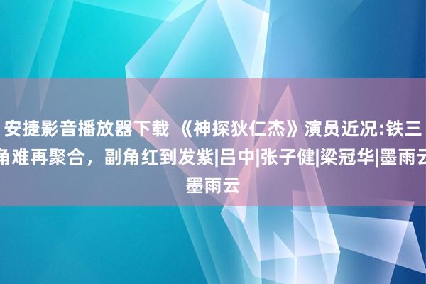 安捷影音播放器下载 《神探狄仁杰》演员近况:铁三角难再聚合，副角红到发紫|吕中|张子健|梁冠华|墨雨云