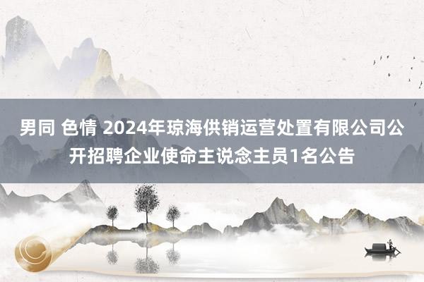 男同 色情 2024年琼海供销运营处置有限公司公开招聘企业使命主说念主员1名公告