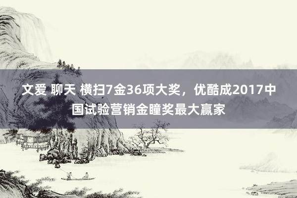 文爱 聊天 横扫7金36项大奖，优酷成2017中国试验营销金瞳奖最大赢家